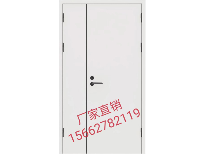 钢制隔热防火门(图1)